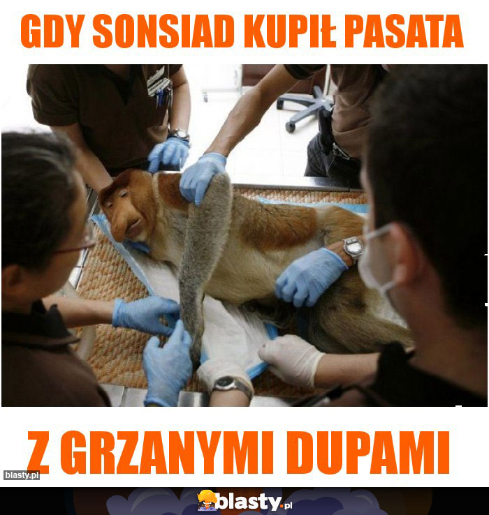 Gdy sonsiad kupił pasata