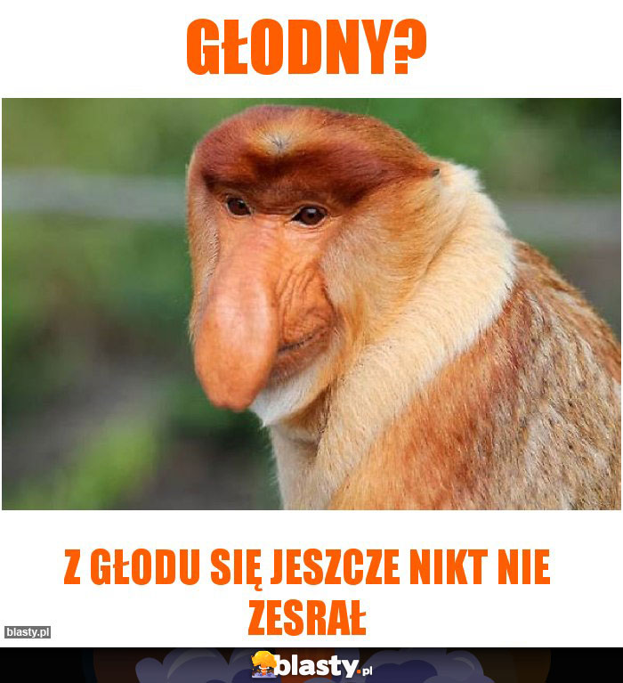 głodny?