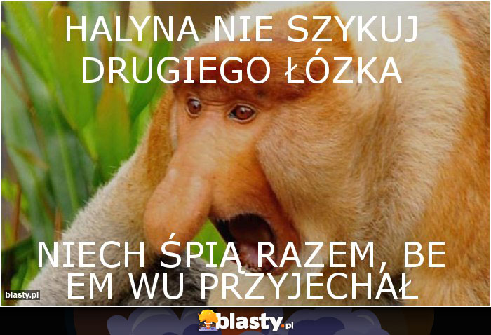 HALYNA NIE SZYKUJ DRUGIEGO ŁÓZKA