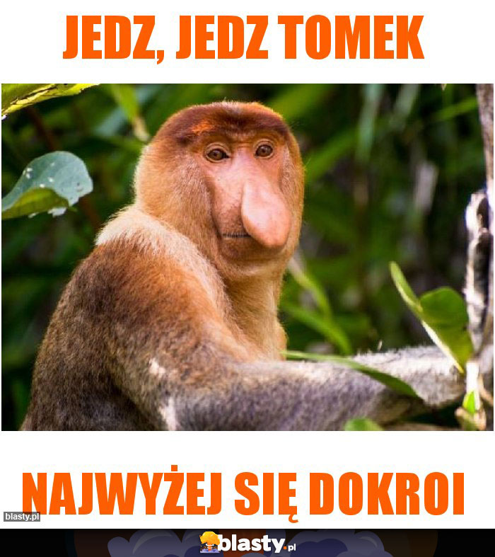 Jedz, jedz Tomek