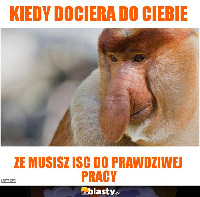 kiedy dociera do ciebie