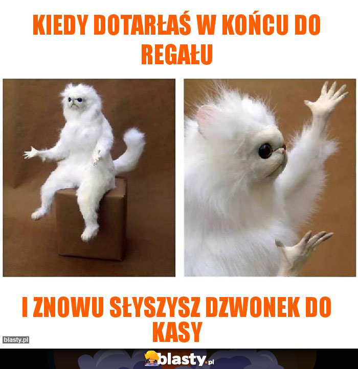 Kiedy dotarłaś w końcu do regału