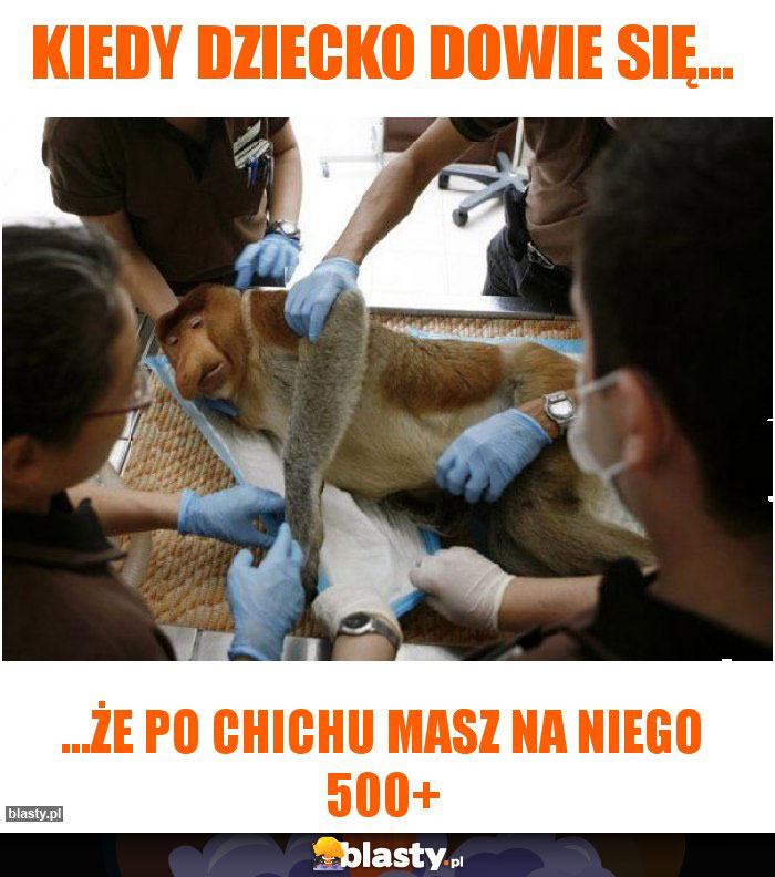 Kiedy dziecko dowie się...