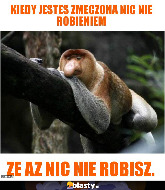 kiedy jestes zmeczona nic nie robieniem