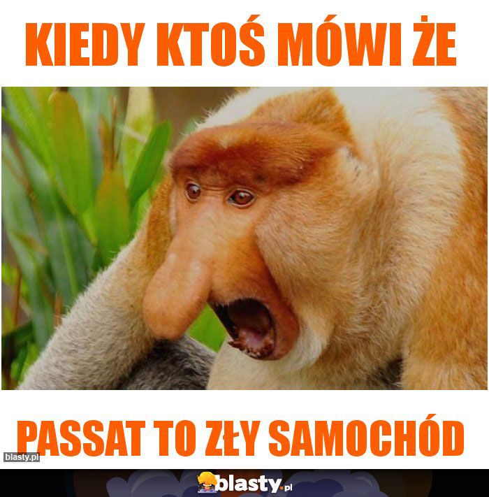 kiedy ktoś mówi że