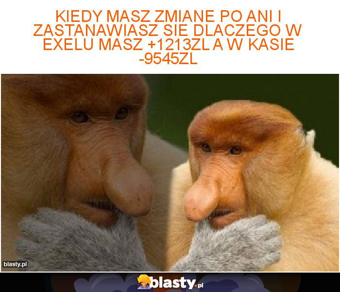 kiedy masz zmiane po ani i zastanawiasz sie dlaczego w exelu masz +1213zl a w kasie -9545zl