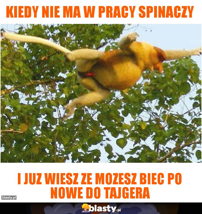 kiedy nie ma w pracy spinaczy