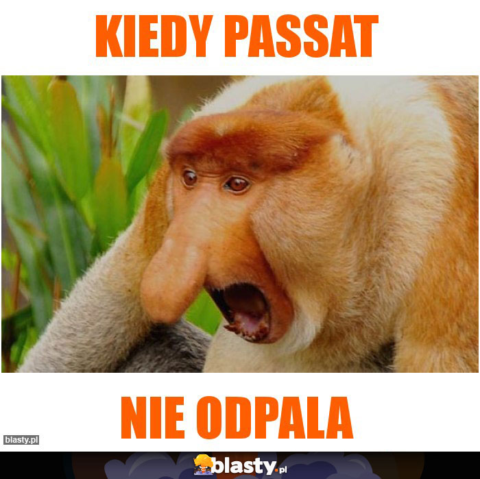 Kiedy Passat