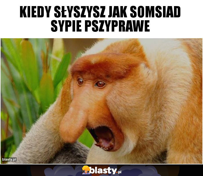 Kiedy słyszysz jak somsiad sypie pszyprawe