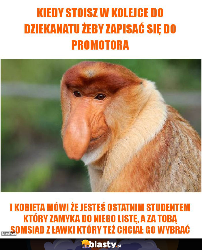 Kiedy stoisz w kolejce do dziekanatu żeby zapisać się do promotora