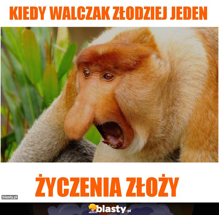 Kiedy Walczak złodziej jeden