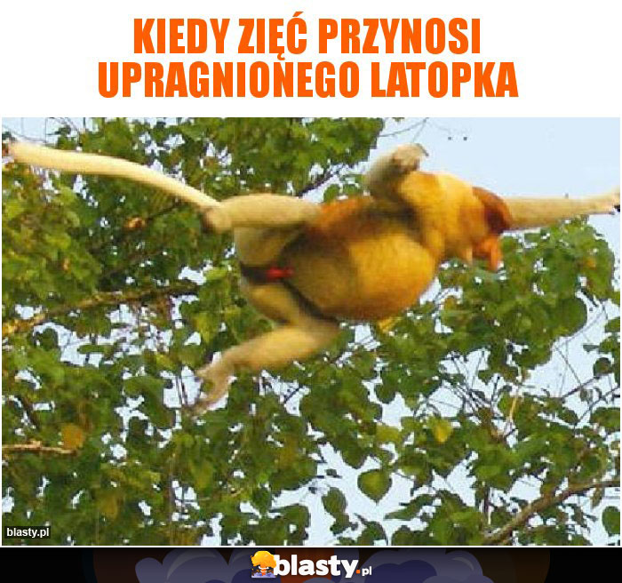 KIedy Zięć przynosi upragnionego latopka