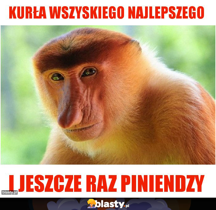 Kurła wszyskiego najlepszego