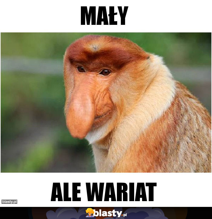 Mały