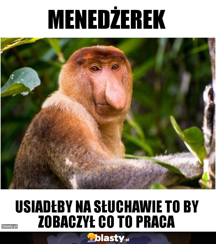 Menedżerek