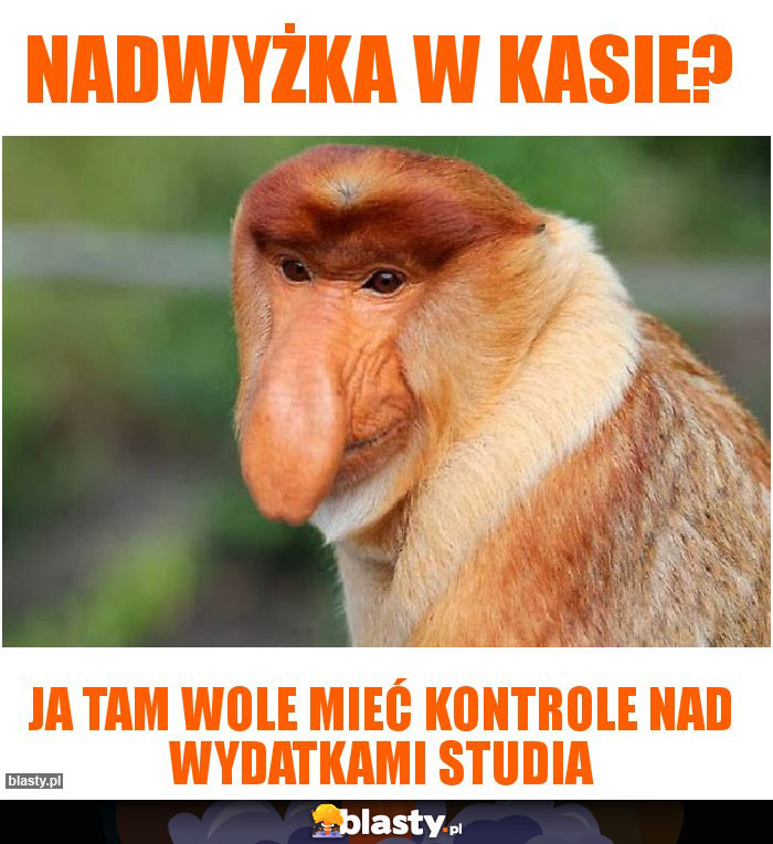 Nadwyżka w kasie?