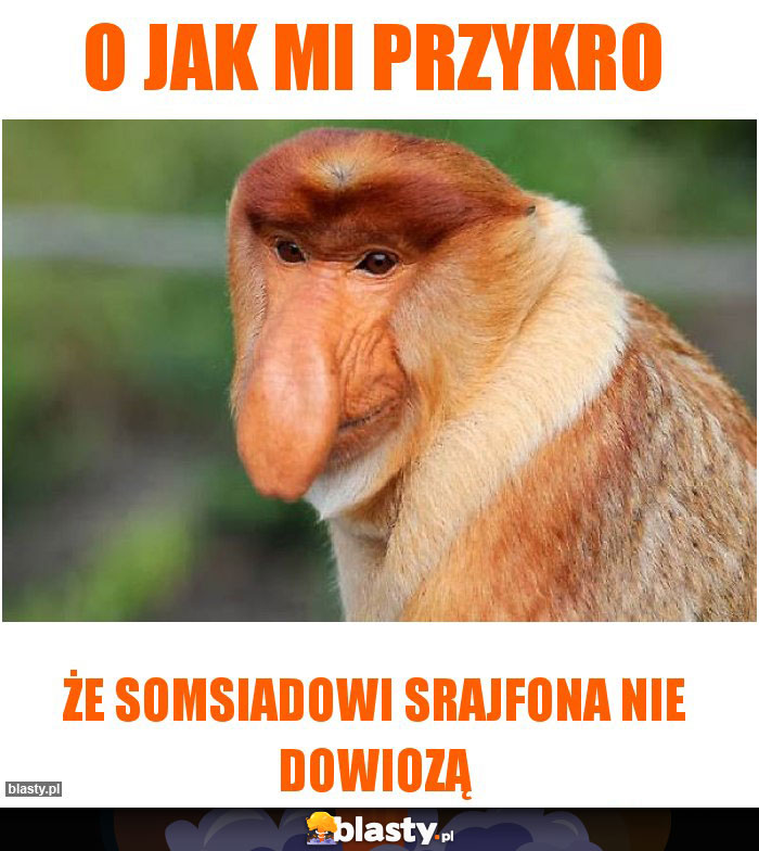 O jak mi przykro