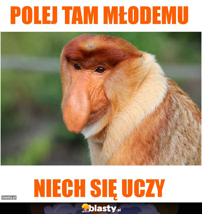 Polej tam młodemu