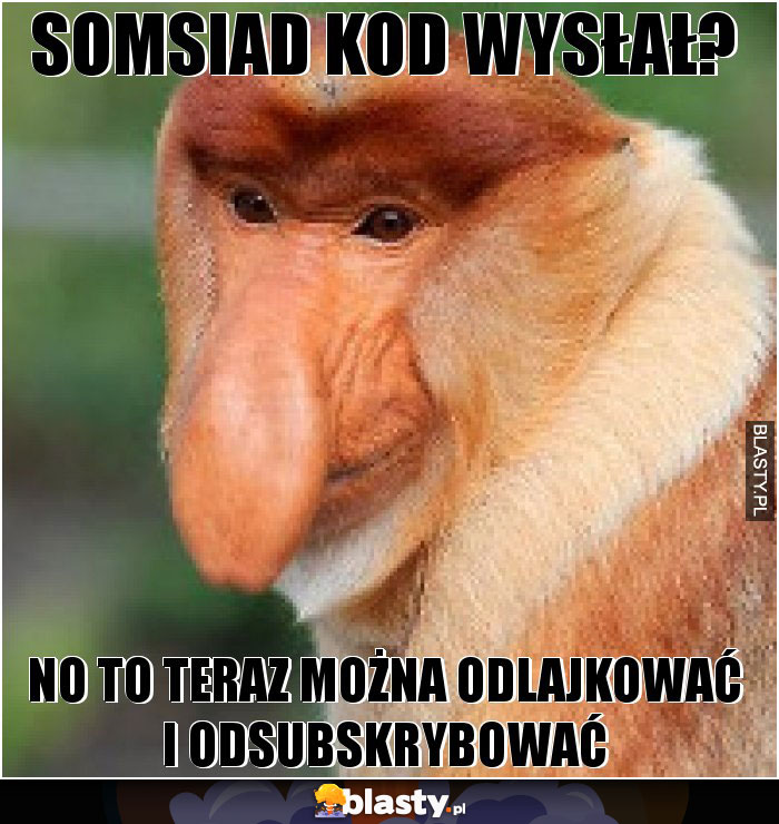 Somsiad kod wysłał?