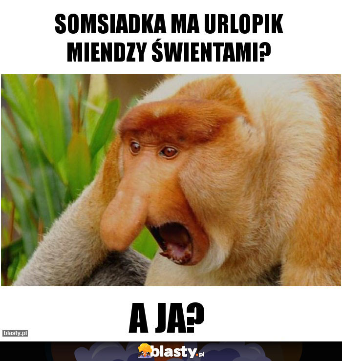 Somsiadka ma urlopik miendzy świentami?