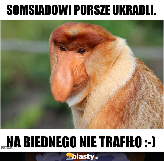 Somsiadowi porsze ukradli.