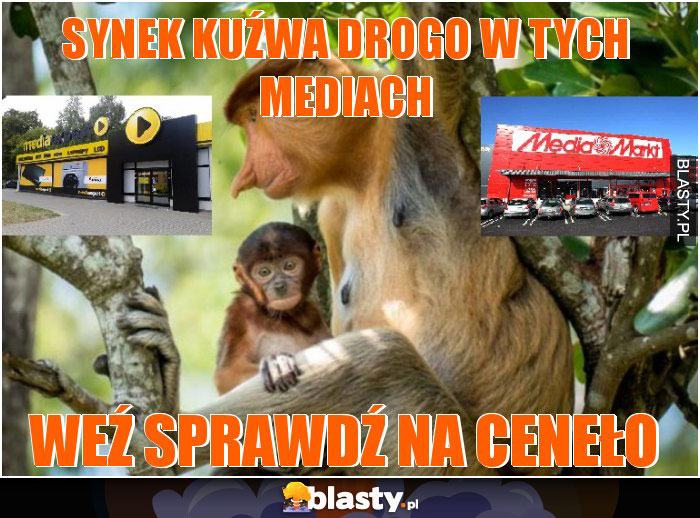 SYNEK KUŹWA DROGO W TYCH MEDIACH