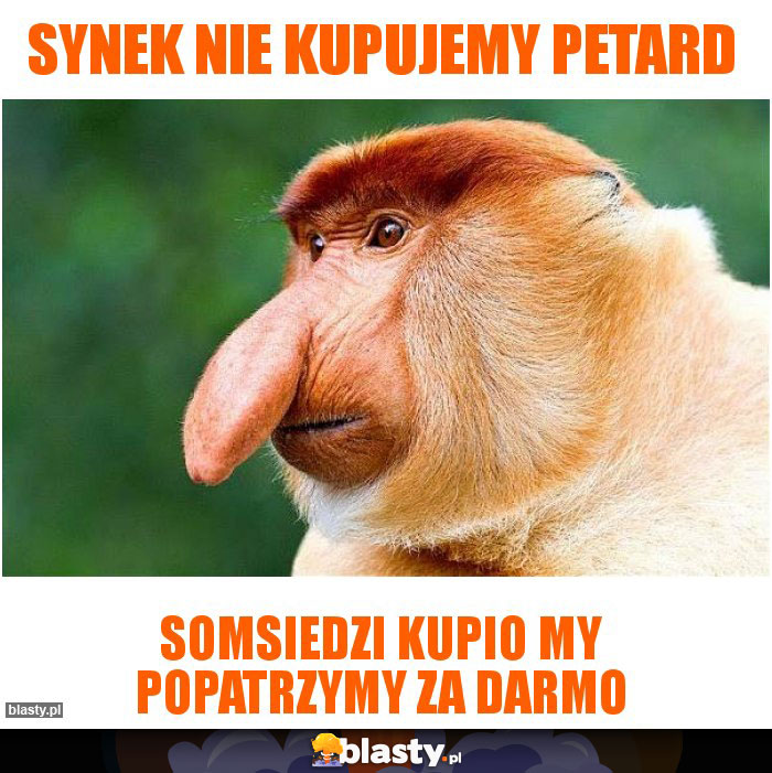 Synek nie kupujemy petard