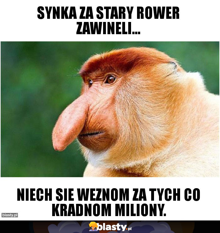 Synka za stary rower zawineli...