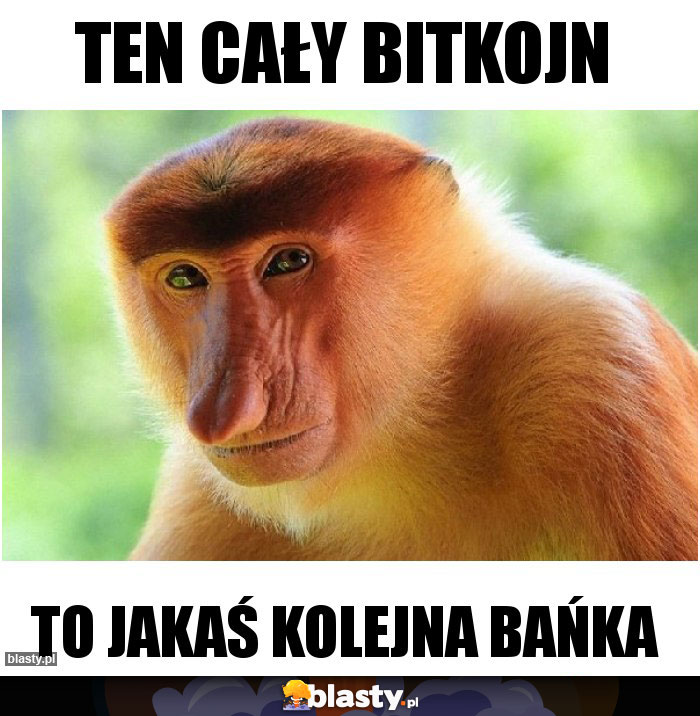 Ten cały bitkojn