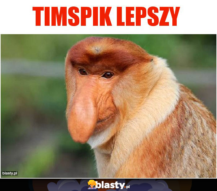 timspik lepszy