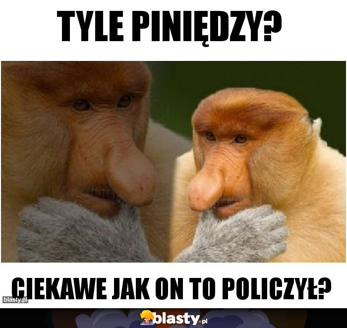 Tyle piniędzy?