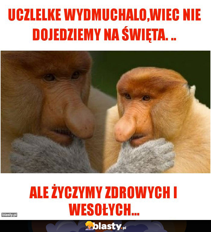 Uczlelke wydmuchalo,wiec nie dojedziemy na Święta. ..