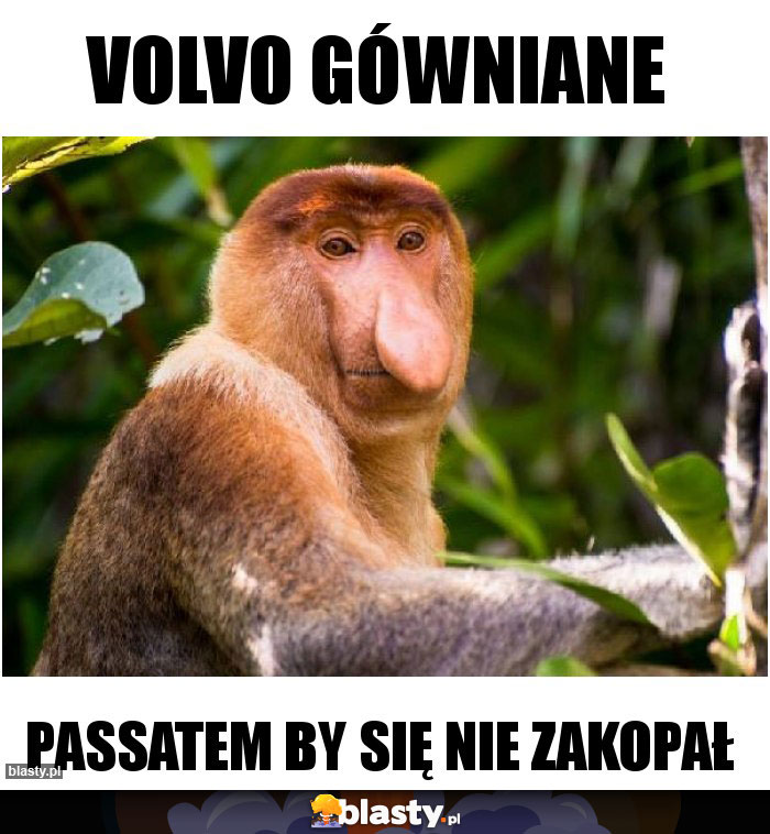 Volvo gówniane