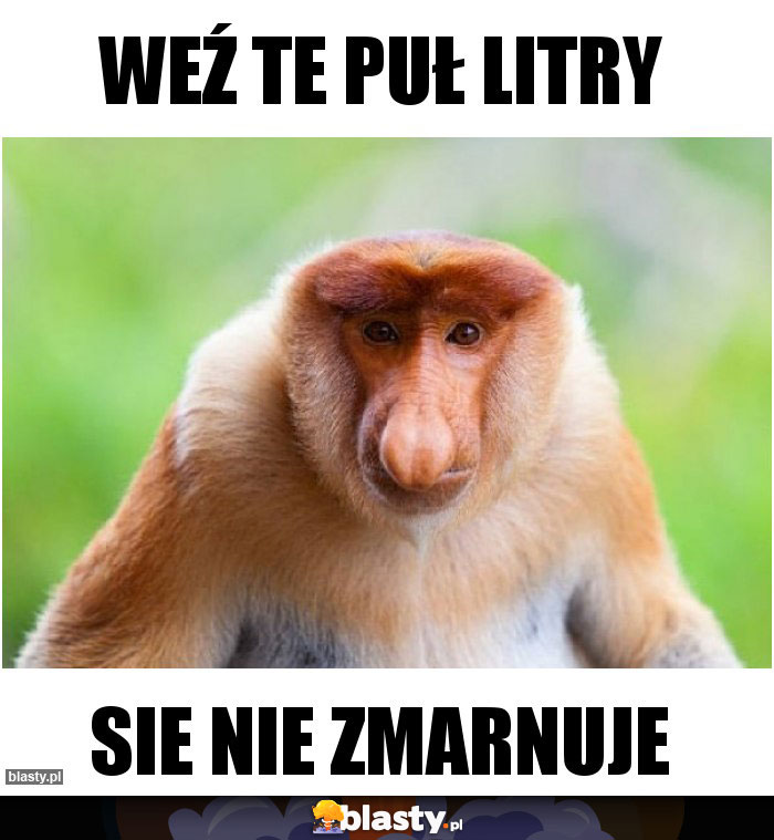 Weź te puł litry