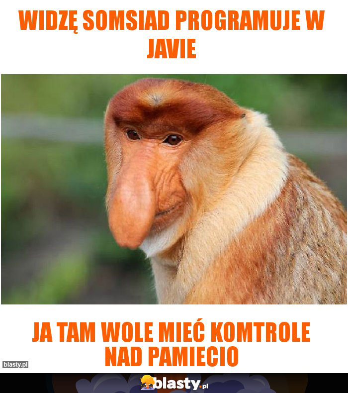 Widzę somsiad programuje w javie