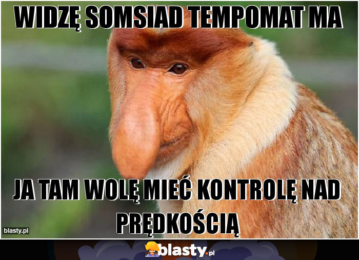 Widzę somsiad tempomat ma