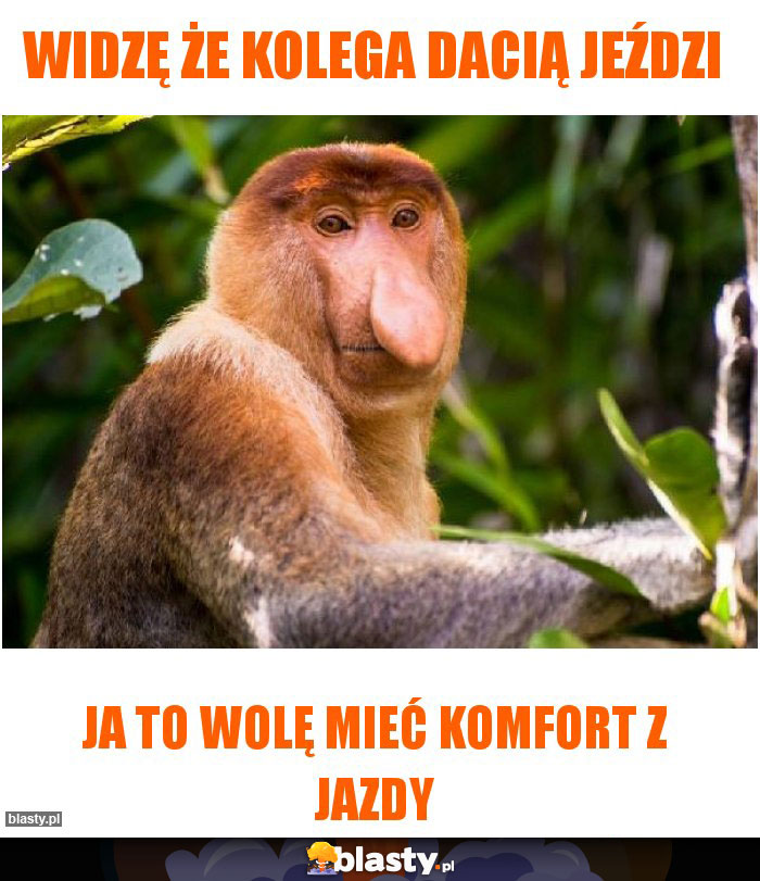 Widzę że kolega dacią jeździ