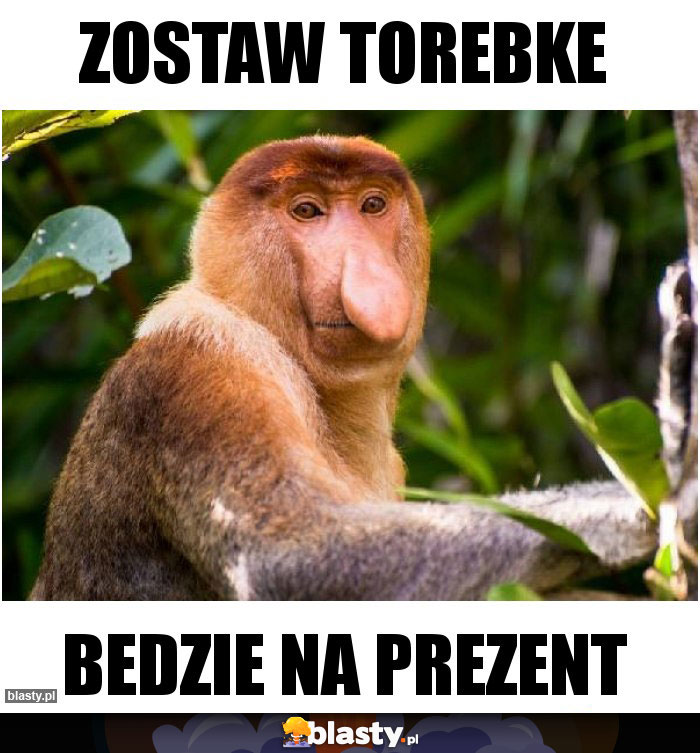 ZOSTAW TOREBKe