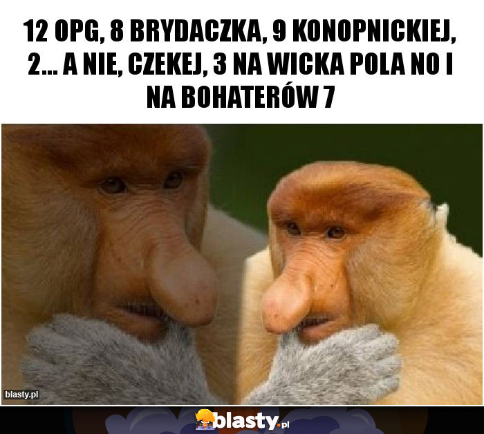 12 OPG, 8 Brydaczka, 9 konopnickiej, 2... a nie, czekej, 3 na wicka pola no i na bohaterów 7