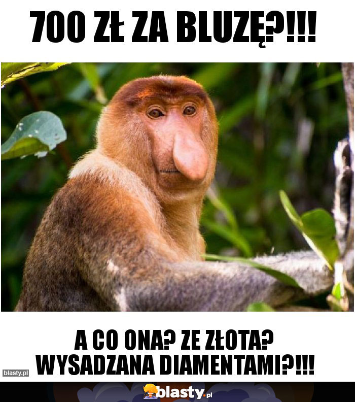 700 zł za bluzę?!!!