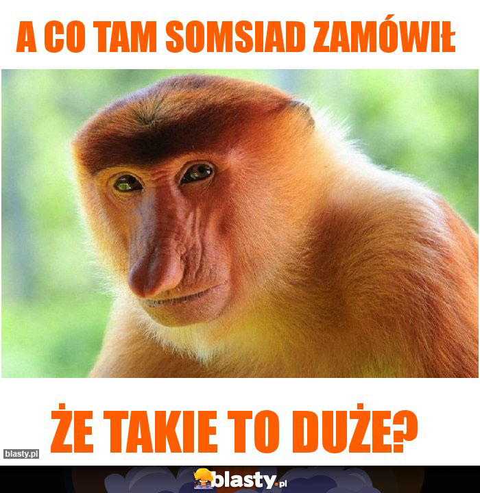 a co tam somsiad zamówił