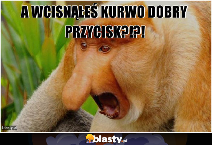 A wcisnąłeś kurwo dobry przycisk?!?!