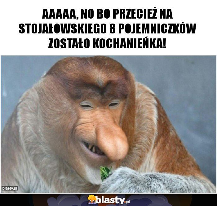 Aaaaa, no bo przecież na stojałowskiego 8 pojemniczków zostało kochanieńka!