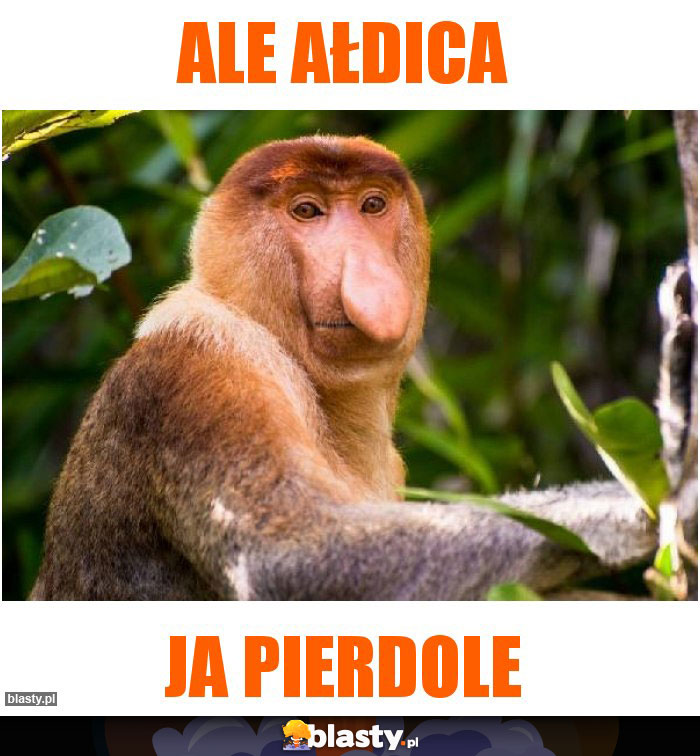 Ale ałdica