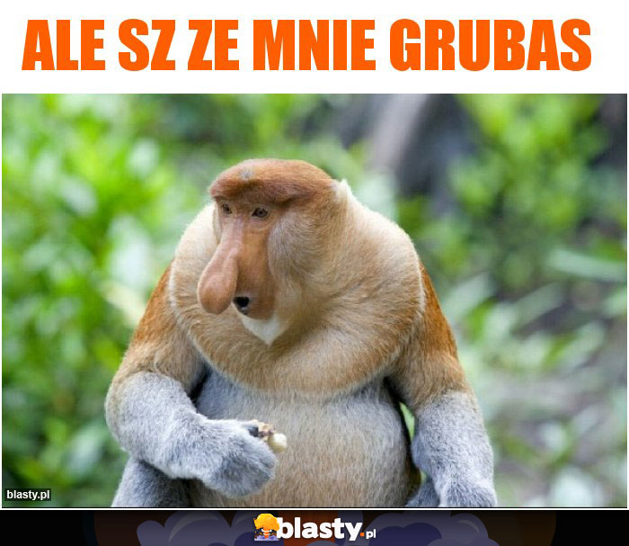 Ale sz ze mnie grubas