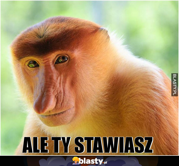 Ale Ty Stawiasz