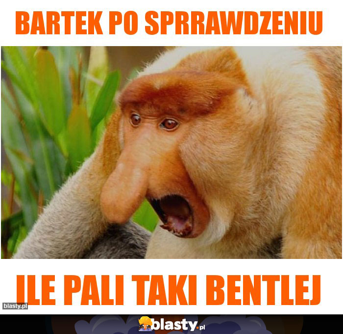 Bartek po sprrawdzeniu