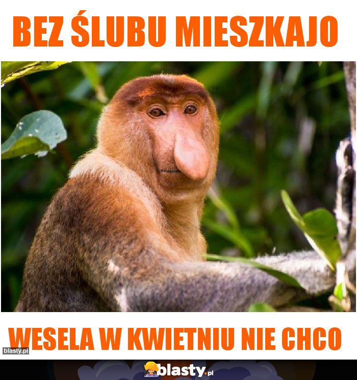 Bez ślubu mieszkajo