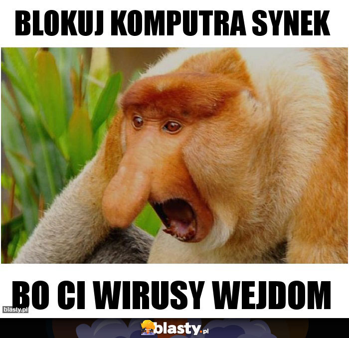 BLOKUJ KOMPUTRA SYNEK