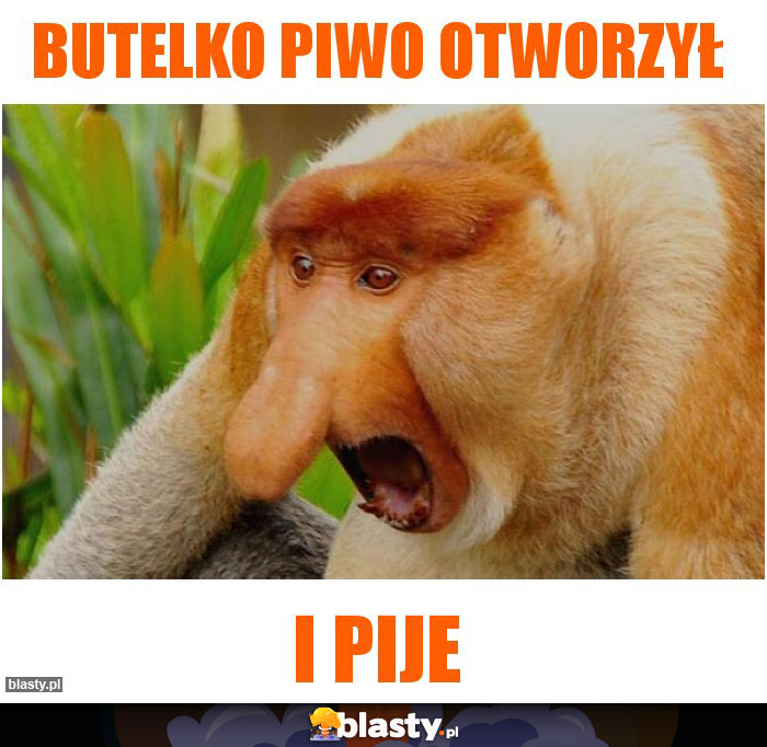 Butelko piwo otworzył